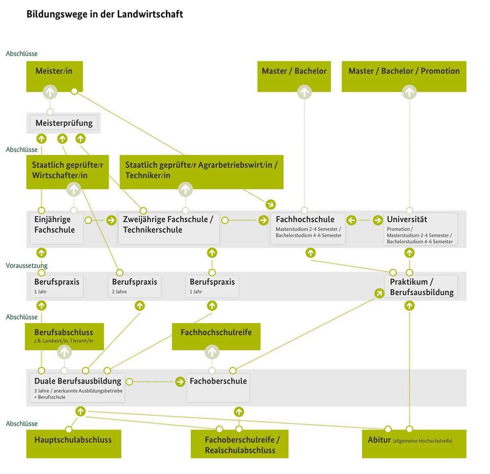 Ausbildungswege und Studienmöglichkeiten im öffentlichen Dienst